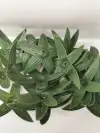 8-centimeter diameter five-angled artificial flower accessories, high, medium and low-grade flower pieces accessories, wedding flower accessories, artificial silk flower accessories Specification image
